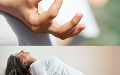 Atelier Yin Yoga et Méditation – 23 avril – L’intersaison