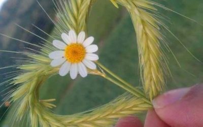 Atelier Yin Yoga et Méditation – 21 mai – De corps à coeur