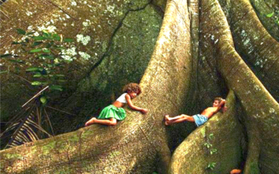 Atelier Yoga parent – enfant – 8 octobre – L’arbre qui coulait rester nu