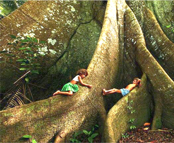 Atelier Yoga parent – enfant – 14 octobre – L’arbre qui voulait rester nu