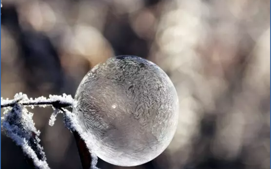 Atelier Méthode Feldenkrais – 17 décembre – Boule de neige