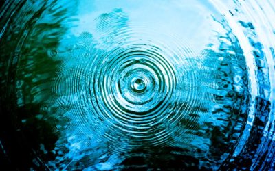 Atelier Yin Yoga et Méditation – 19 novembre – Yin-mersion  sonore : Cheminer vers la fluidité grâce à l’élément Eau