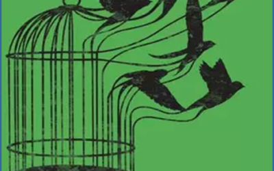 Atelier Méthode Feldenkrais – 5 novembre – Libérer sa cage…thoracique!