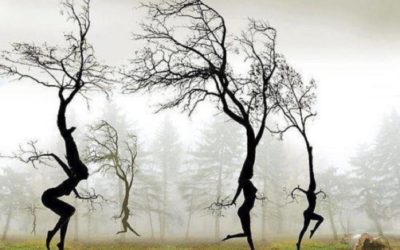 Atelier Yoga Adulte – 28 janvier – Trouver l’ancrage