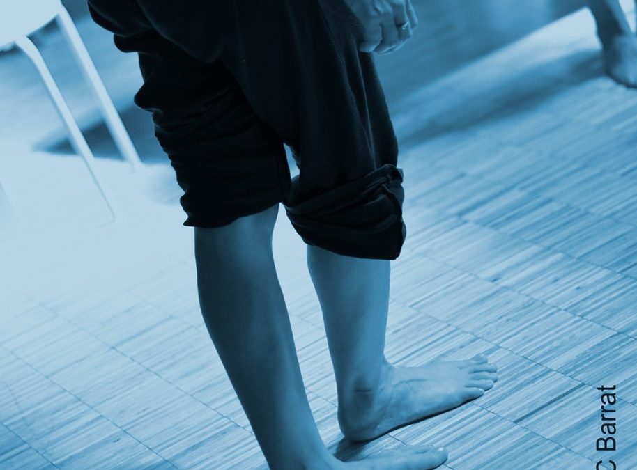 Atelier Méthode Feldenkrais – 17 mai – « Tisser des liens entre bras et jambes »