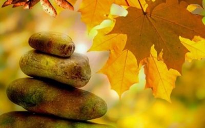 Atelier Qi Gong Adulte – 20 septembre – « Qi Gong de l’immunité »