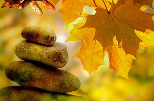 Atelier Qi Gong Adulte – 20 septembre – « Qi Gong de l’immunité »