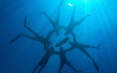 Séance Yoga & apnée – 7 novembre