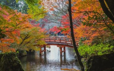 Atelier Qi Gong Adulte – 17 janvier – « Qi Gong de l’intersaison : le retour à la terre »