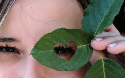 Atelier Qi Gong Adulte – 21 mars – « Qi Gong des yeux : Renforcer la vision et la vitalité de tous les organes »