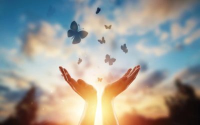 Atelier Qi Gong Adulte – 20 juin – « Qi Gong des émotions – Harmoniser le feu émotionnel grâce au Qi Gong »